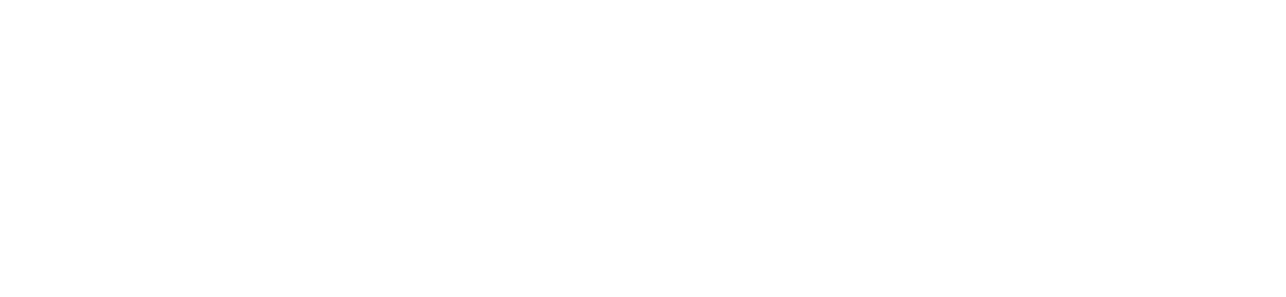 dataful minds Logo