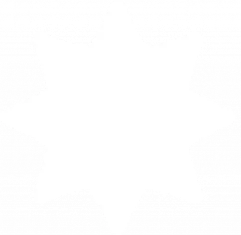 Logo Dataful Minds